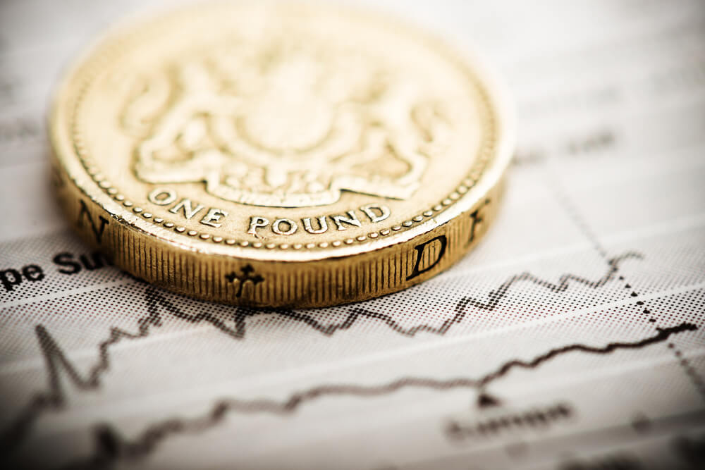 Pound coin 